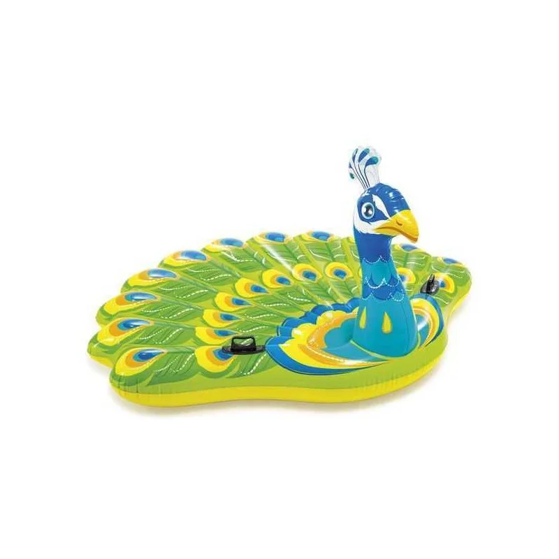 c-piscine-211379