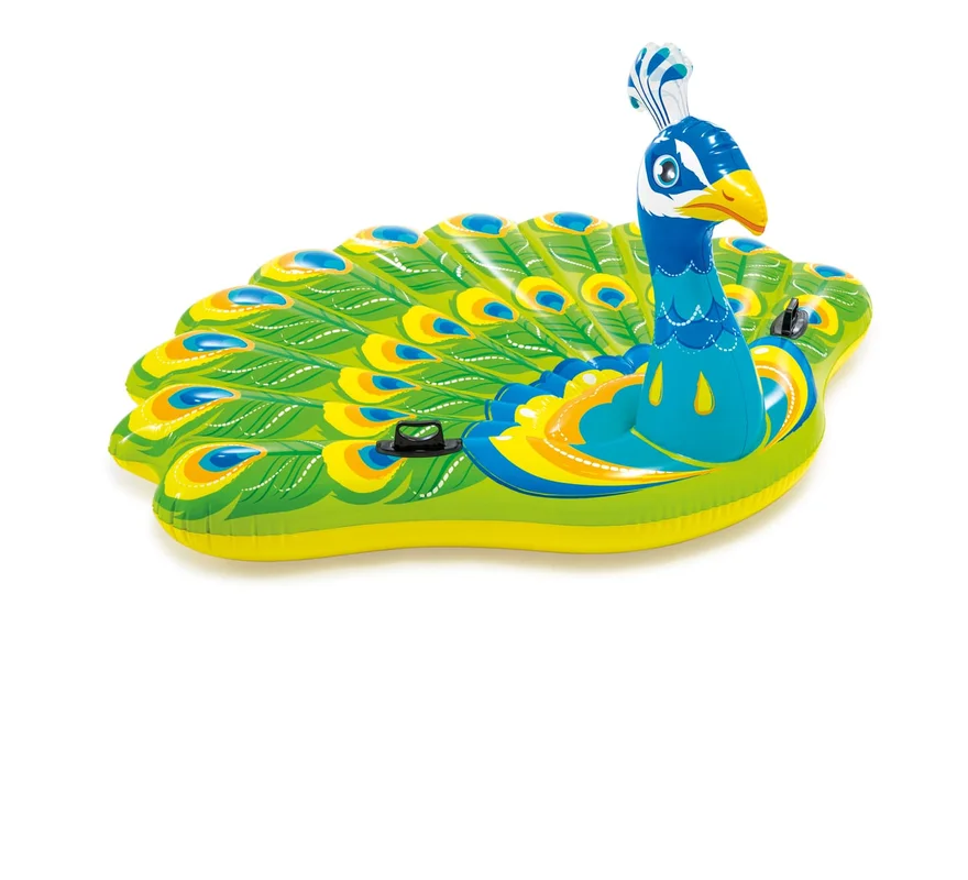 cash-piscines-351624