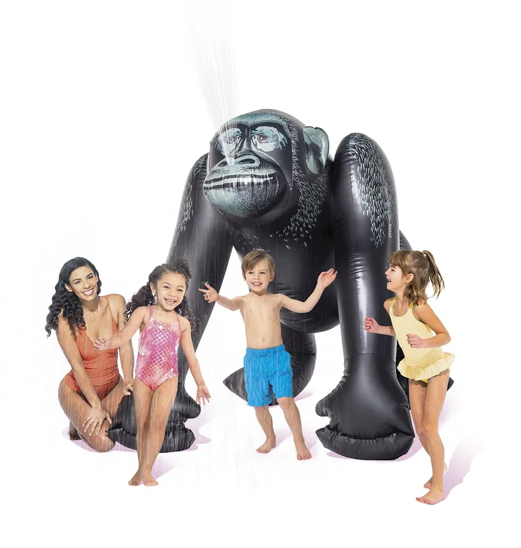 cash-piscines-353274
