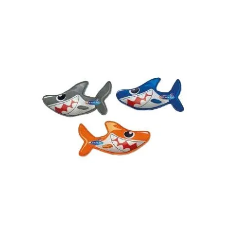piscine-market-500584