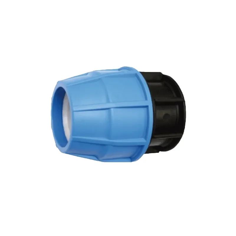 piscine-zyke-207379