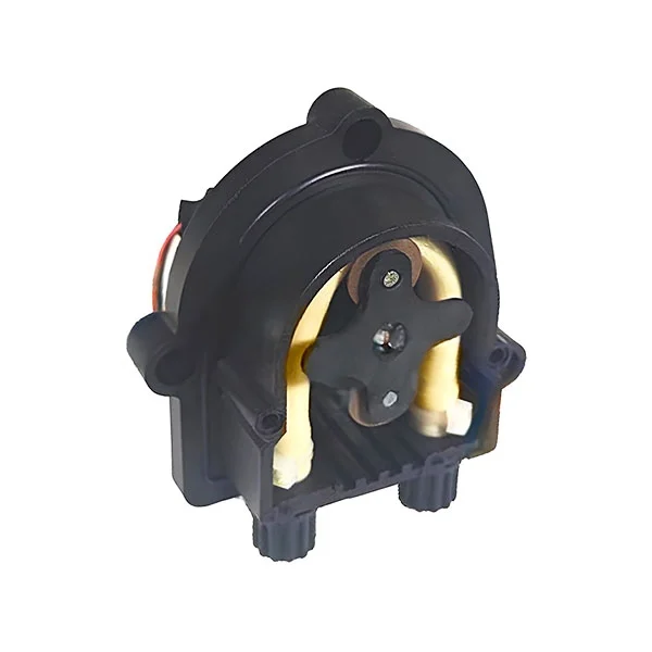 piscineale-502422