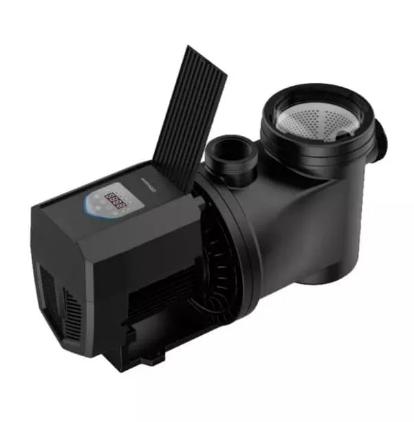 piscineale-503404