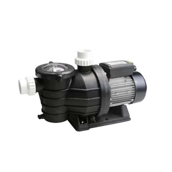 piscineale-503447