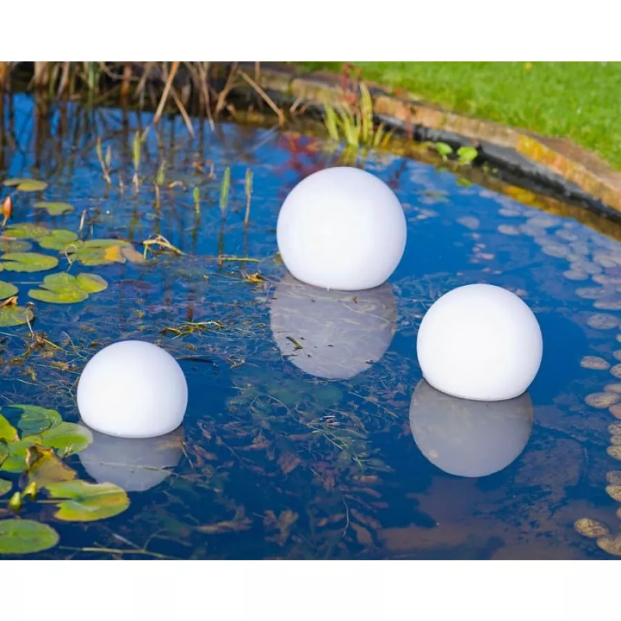 raviday-piscine-507226