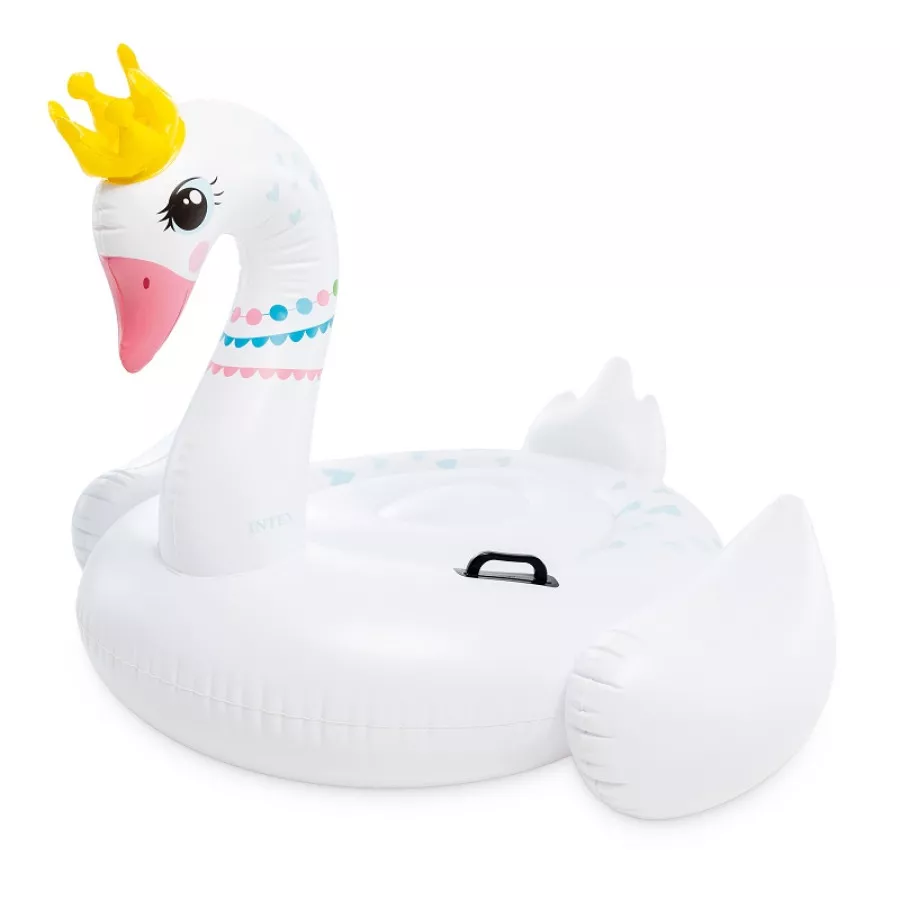 raviday-piscine-507256