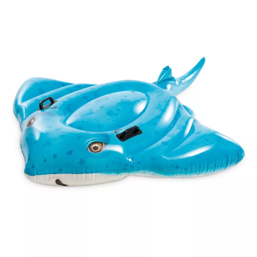 raviday-piscine-507257