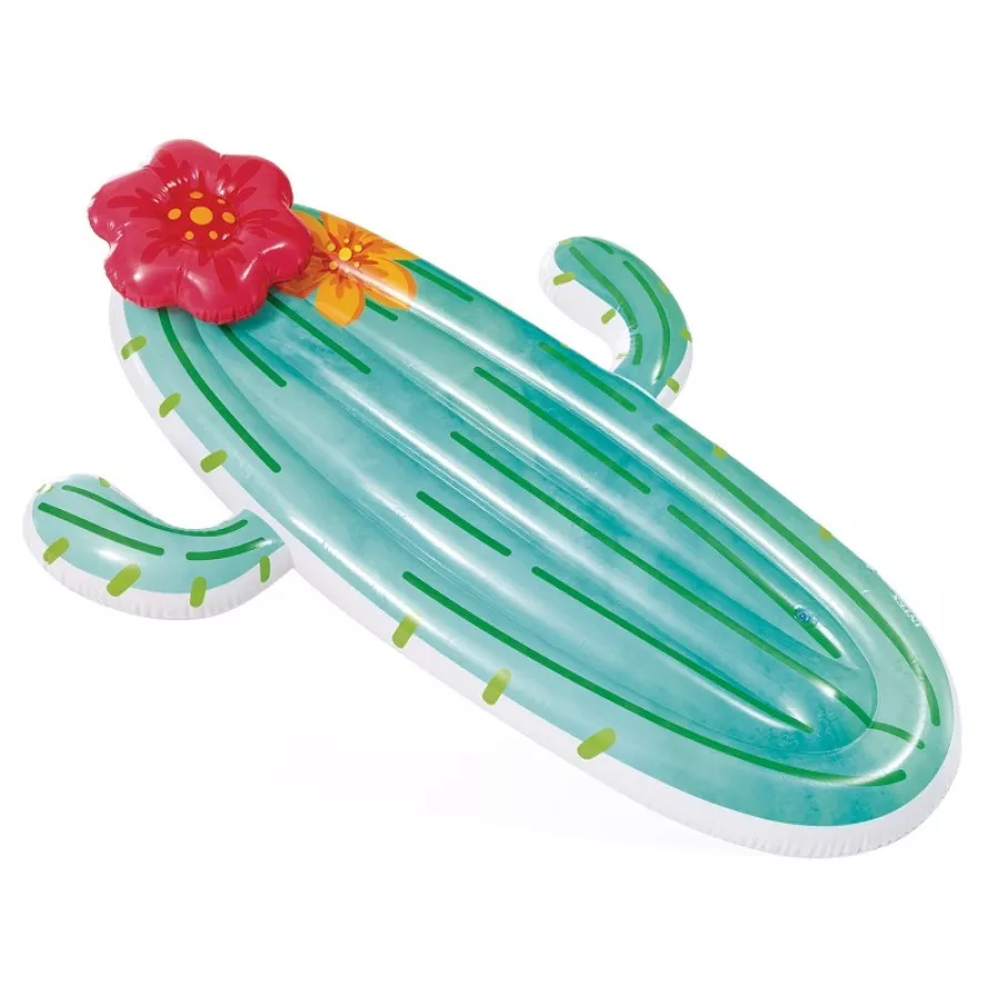 raviday-piscine-507265