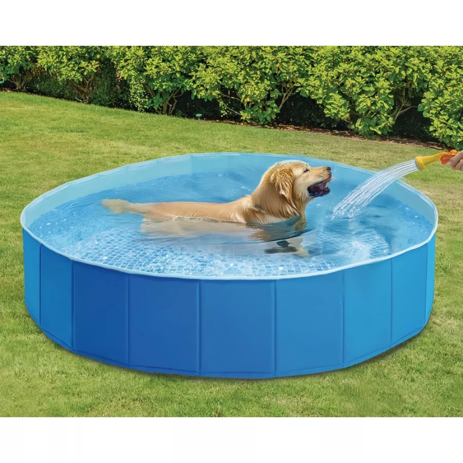 raviday-piscine-507429